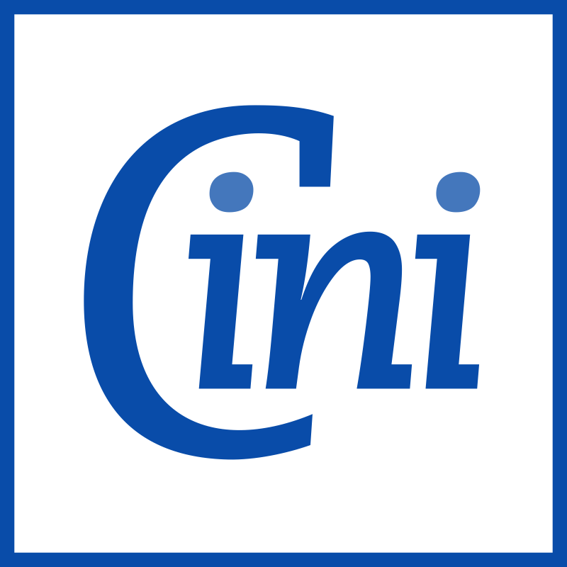 Стандарты CINI